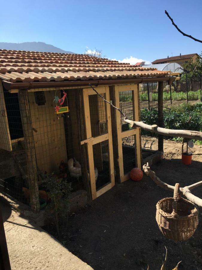Buonocore Rooms Santa Maria La Carita Exterior photo